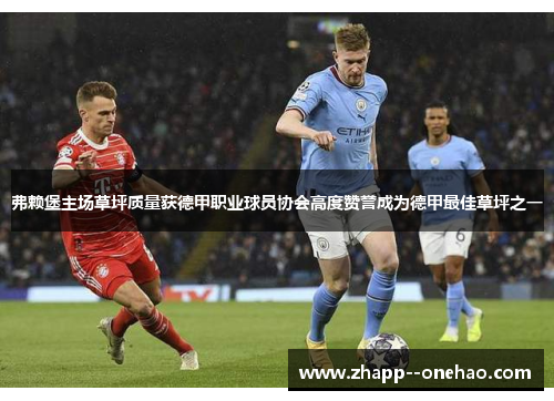 弗赖堡主场草坪质量获德甲职业球员协会高度赞誉成为德甲最佳草坪之一