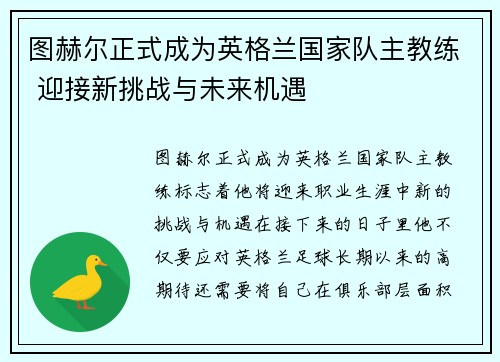 图赫尔正式成为英格兰国家队主教练 迎接新挑战与未来机遇